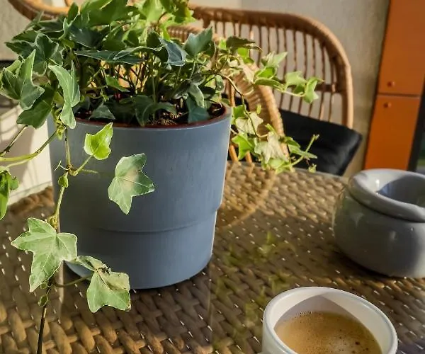 Premium New With Panoramic Castle View Appartement